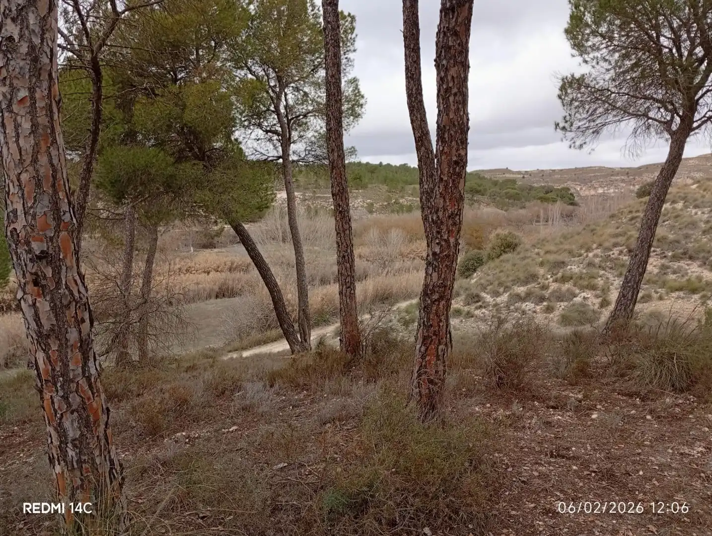 Country homes for sale in Calle Larga, 31, Valdeganga Country homes for sale in Valdeganga with Private garden
