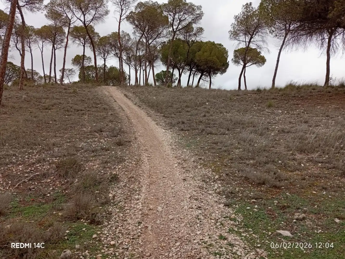 Country homes for sale in Calle Larga, 31, Valdeganga Country homes for sale in Valdeganga with Private garden