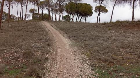 Finca rústica en venda a Calle Larga, 31, Valdeganga, Albacete - imatge 2 Foto 2 de Finca rústica en venda a Calle Larga, 31, Valdeganga, Albacete