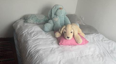 Pis per a compartir a Grupo Pinadia, 2, Zorrotza, Bilbao - imatge 3 Foto 3 de Pis per a compartir a Grupo Pinadia, 2, Zorrotza, Bilbao