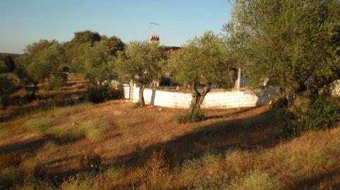 Photo 5 of Country house for sale in Calle Santa Lucía, 15, Brozas, Cáceres
