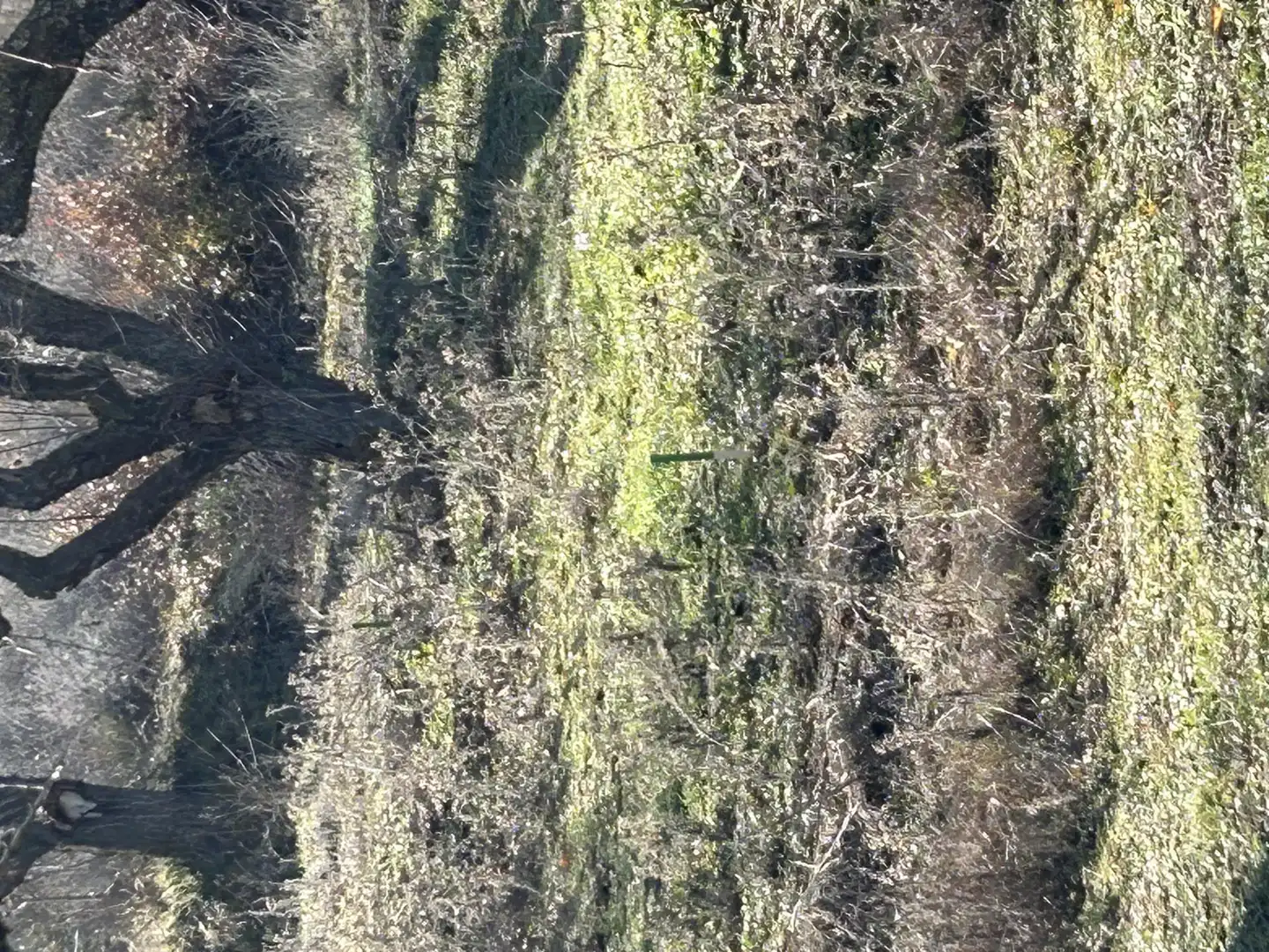 Land for sale in Guimerà