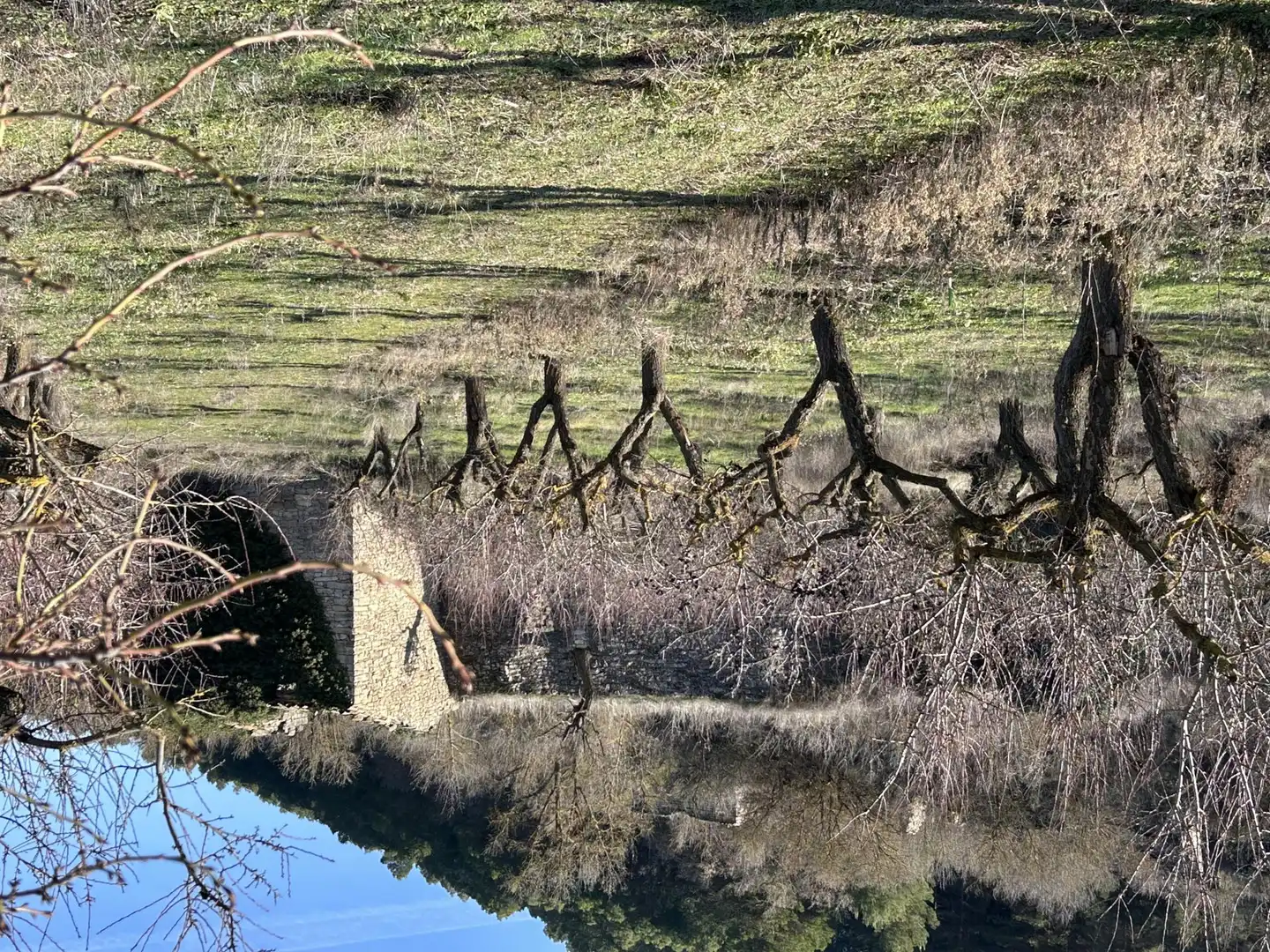 Garden of Land for sale in Guimerà