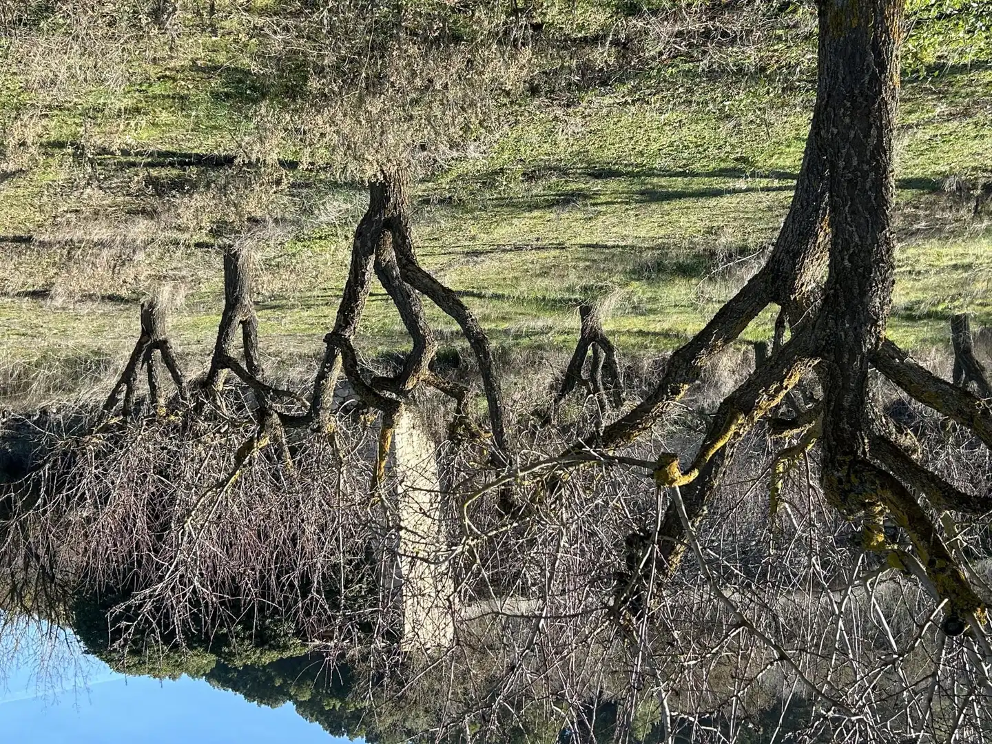 Garden of Land for sale in Guimerà