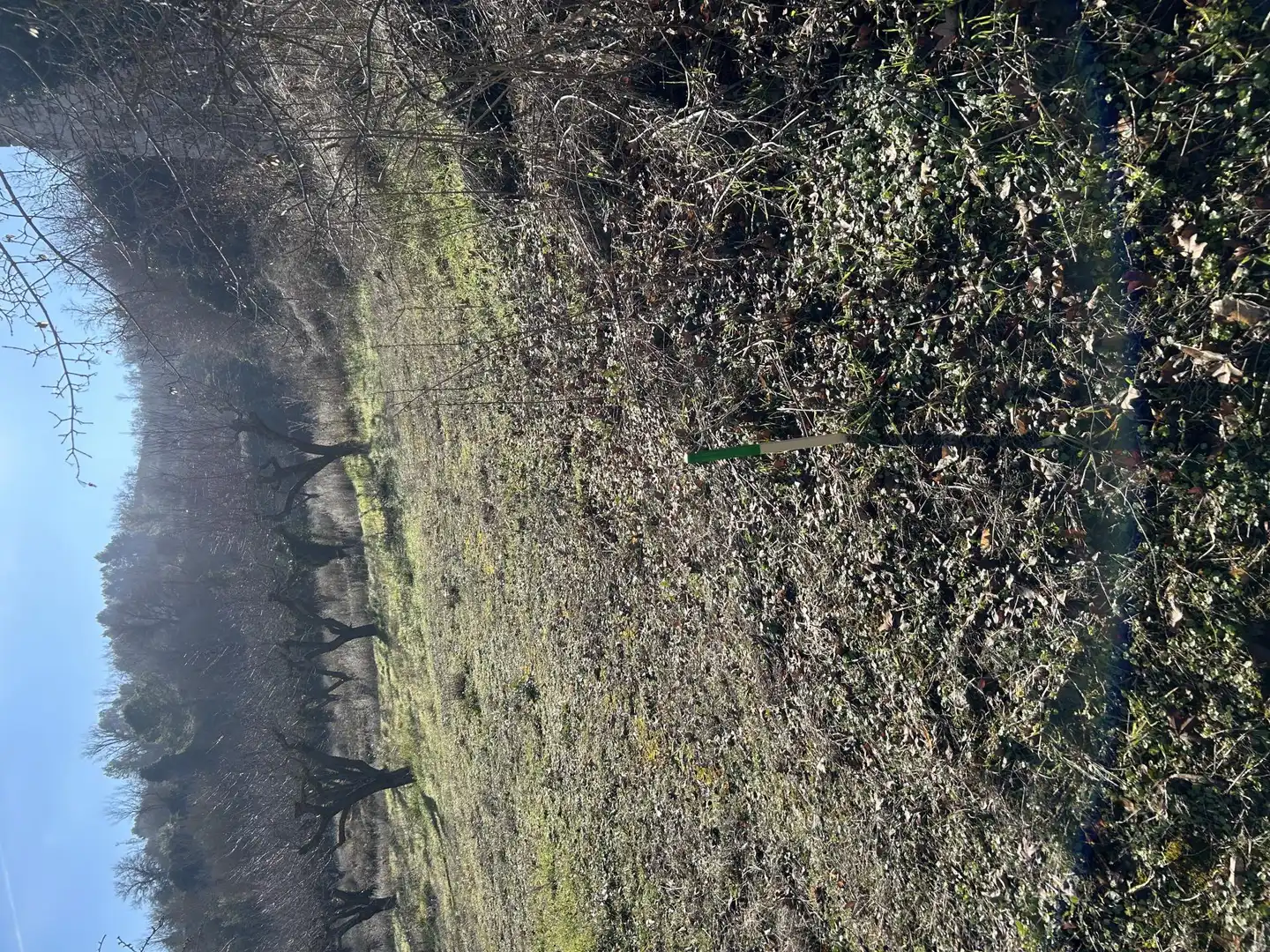 Land for sale in Guimerà