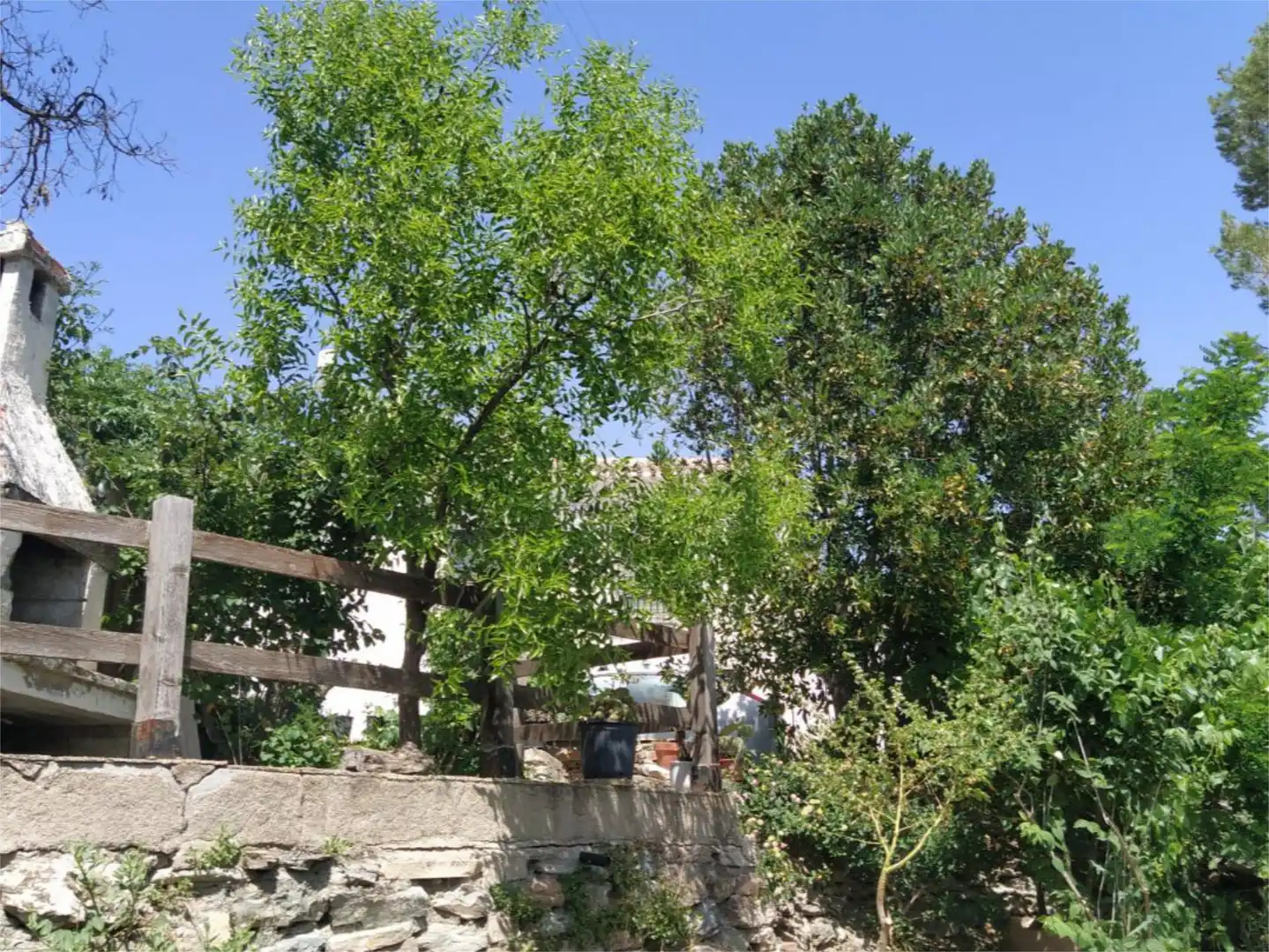 Finca rústica en venta en Diseminado Nogalte, 67, Nogalte Jardín de Finca rústica en venta en Lorca con Jardín privado, Terraza y Amueblado