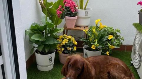 Pis en venda a Calle Juan Agustín Palomar, 35, Camas, Sevilla - imatge 3 Foto 3 de Pis en venda a Calle Juan Agustín Palomar, 35, Camas, Sevilla