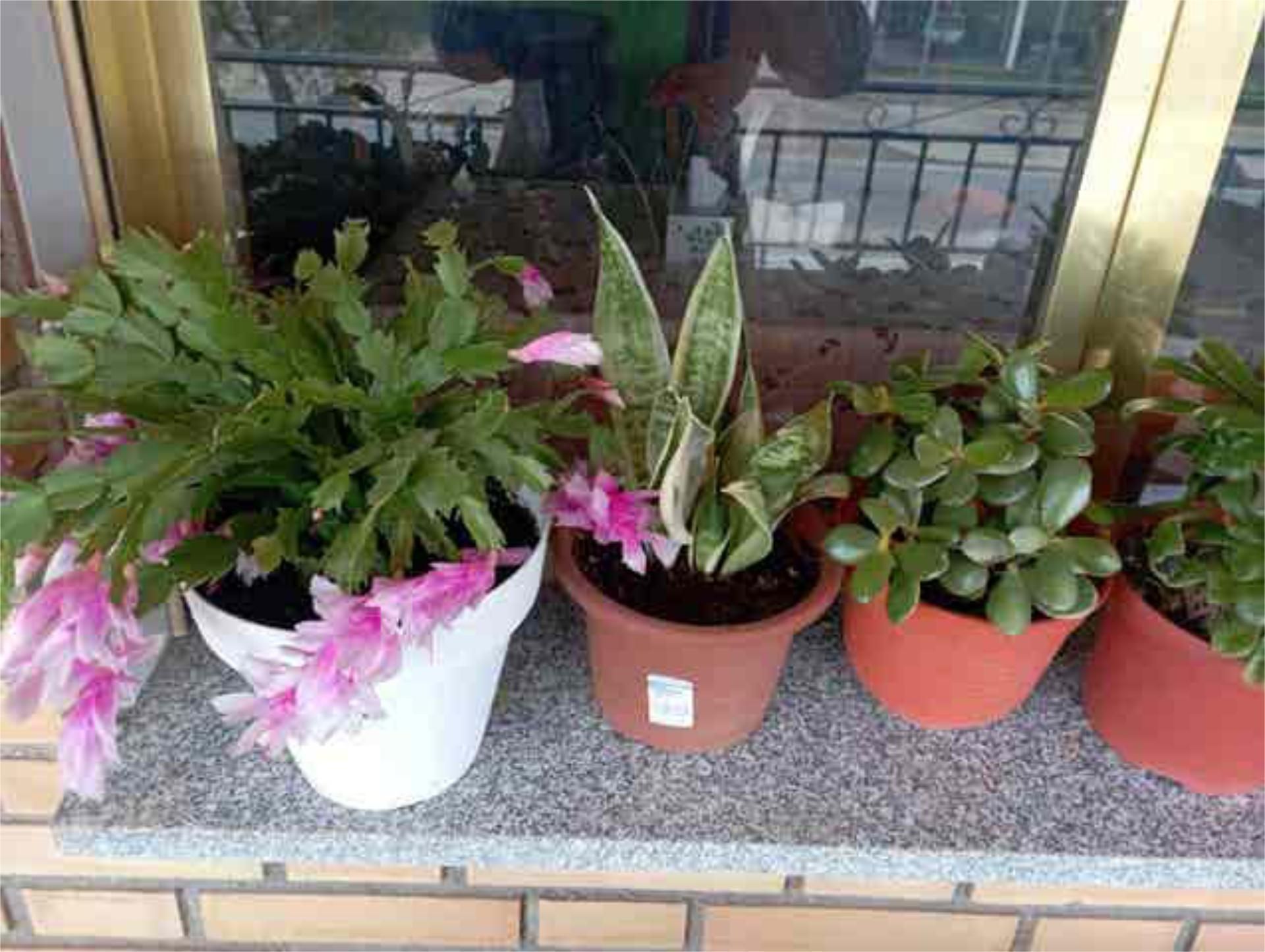 Pis en venda a Casasbuenas