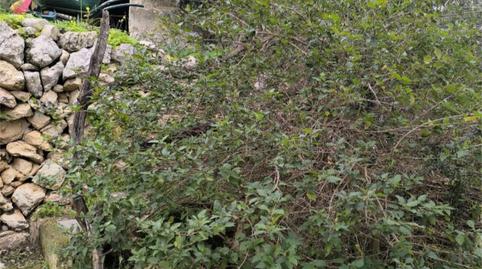 Foto 2 de Finca rústica de lloguer a Carrer Pont Den Fava-son Carr, 5, Sant Llorenç des Cardassar, Illes Balears