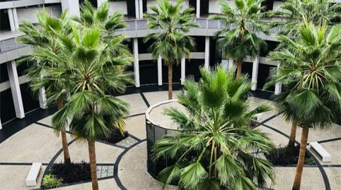 Foto 3 de Apartamento de alquiler en Glorieta de Los Países Bálticos, 3, Alcolea,  Córdoba Capital