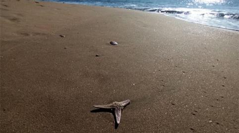 Foto 2 de Casa o xalet en venda a Calle Verdolaga, 156c, Lepe, Huelva