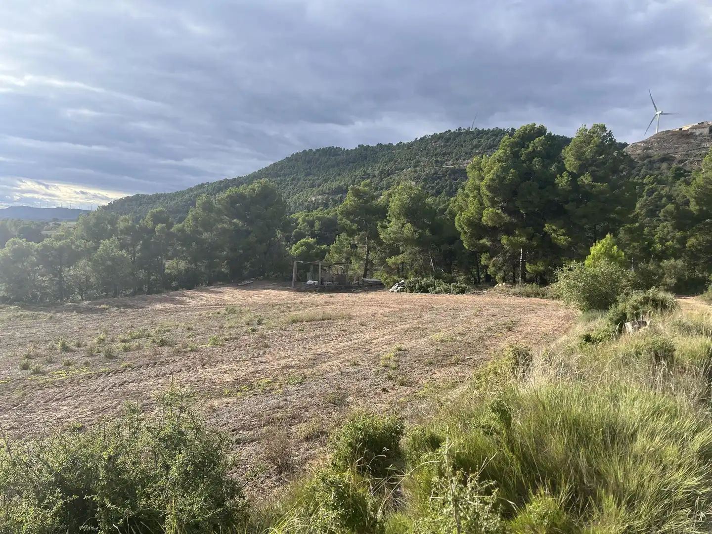 Casa o chalet en venta en Carrer Pla de la Bassa, 29, Forès Casa o chalet en venta en Forès con Jardín privado, Parquet y Amueblado