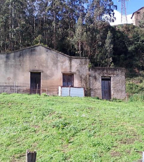 Foto 2 de Finca rústica en venda a Camino Viejo de la Campa, 687, Jove, Gijón