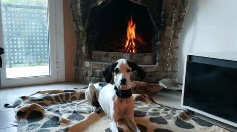 Foto 3 de Casa o chalet para compartir en Carrer Dels Ocells, 22, Vallirana, Barcelona