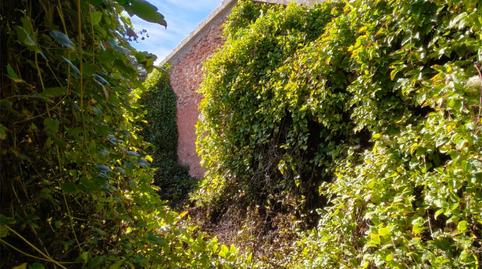 Photo 5 of Flat for sale in Bogarra, Albacete