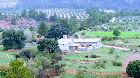 Finca rústica en venta en Calle Galapagar, S.n, Bogarra, Albacete - imagen 2 Foto 2 de Finca rústica en venta en Calle Galapagar, S.n, Bogarra, Albacete