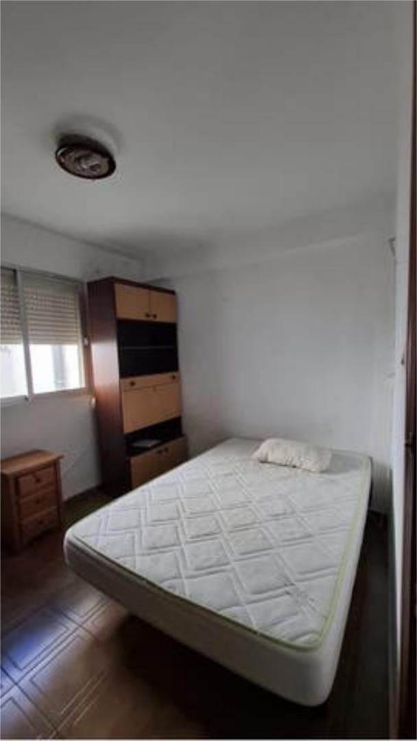 Study to share in Zona Campus Universitario