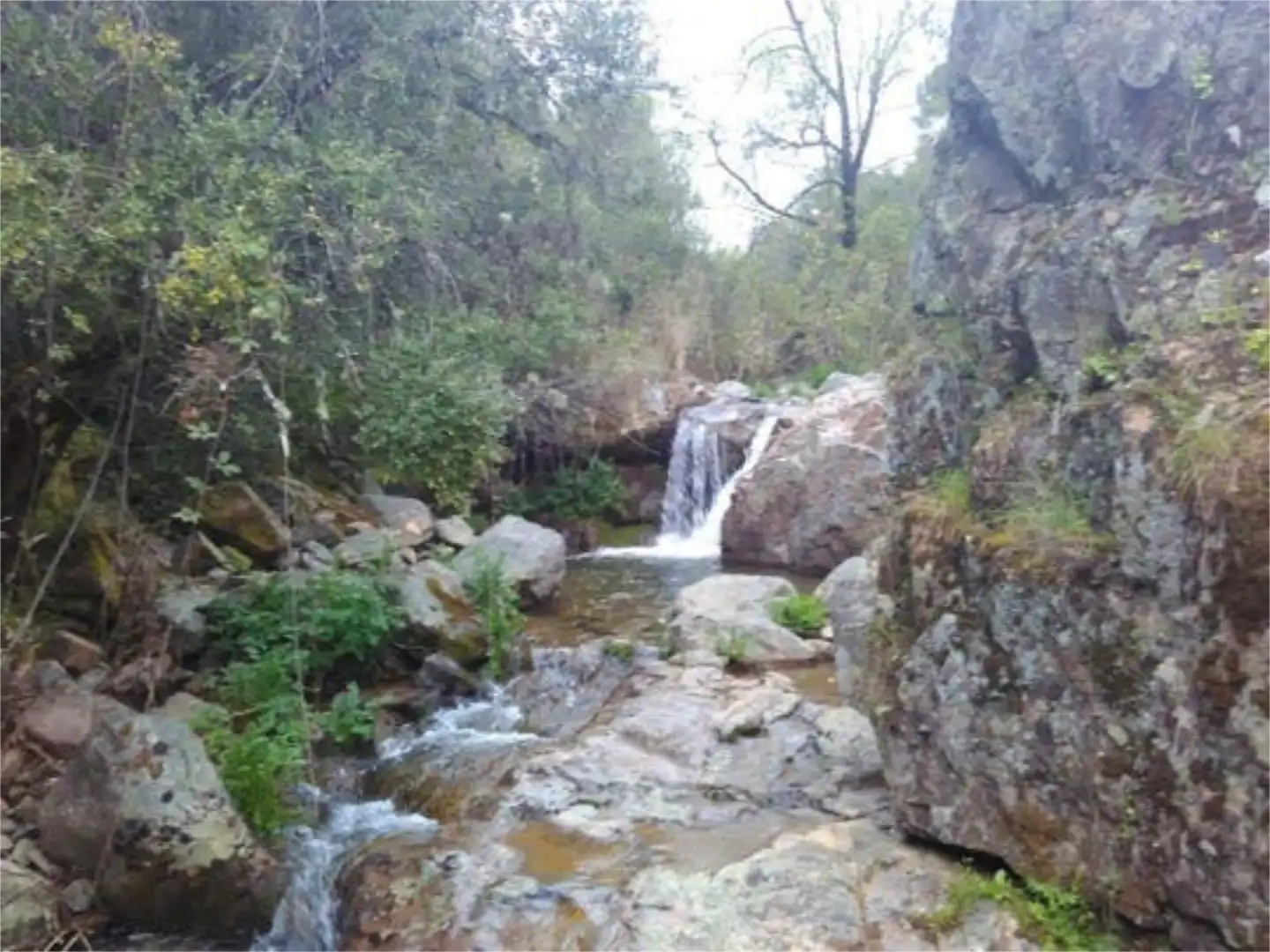 Casa o xalet de lloguer a Las Jaras Casa o xalet de lloguer a Las Jaras