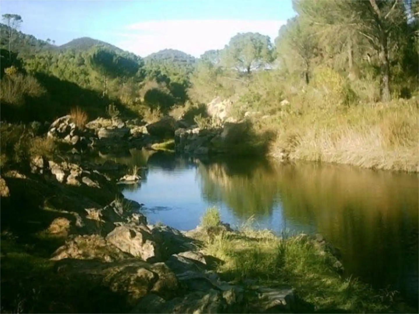 Casa o xalet de lloguer a Las Jaras Casa o xalet de lloguer a Las Jaras