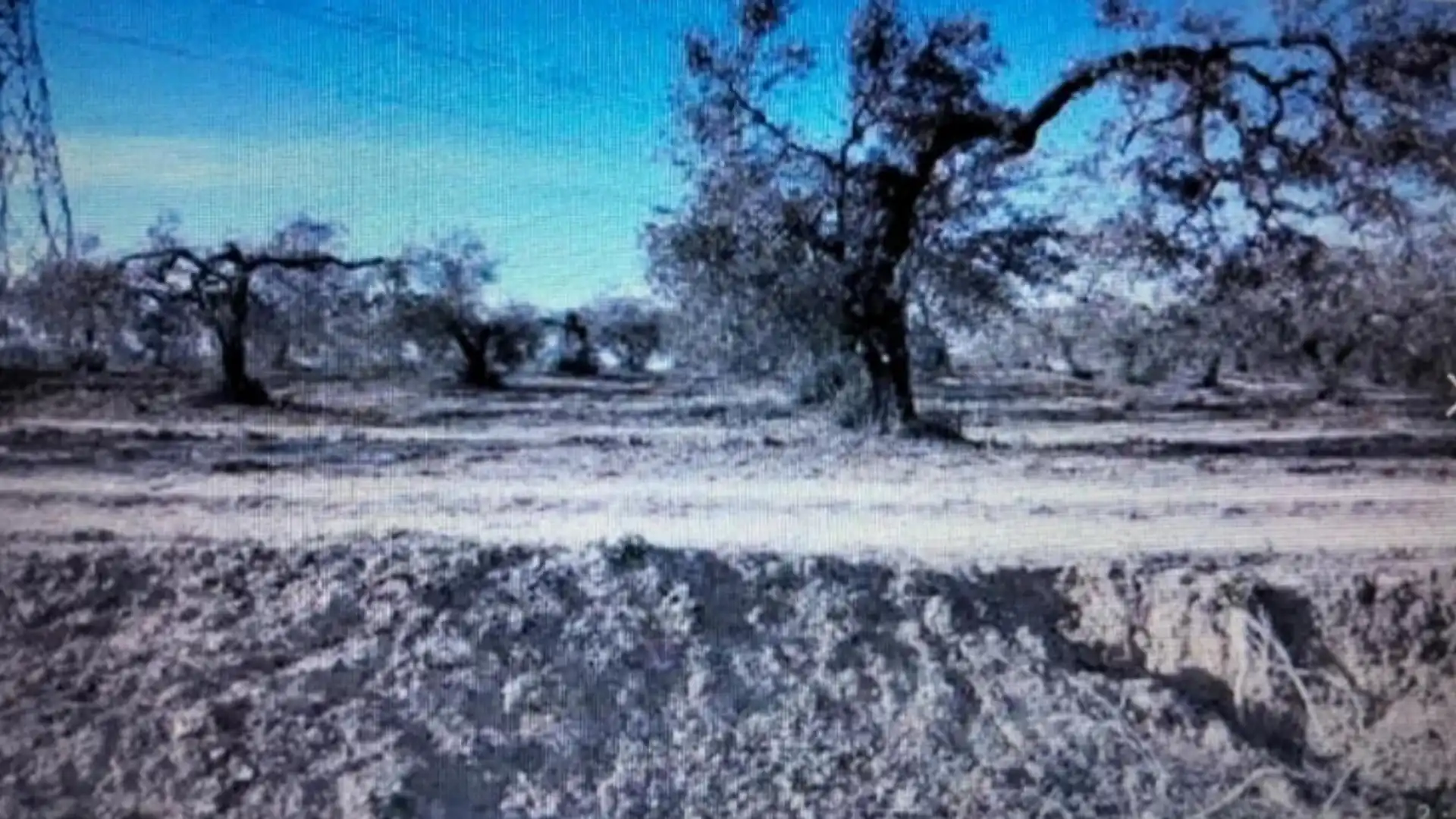 Terreno en venta en Olivares