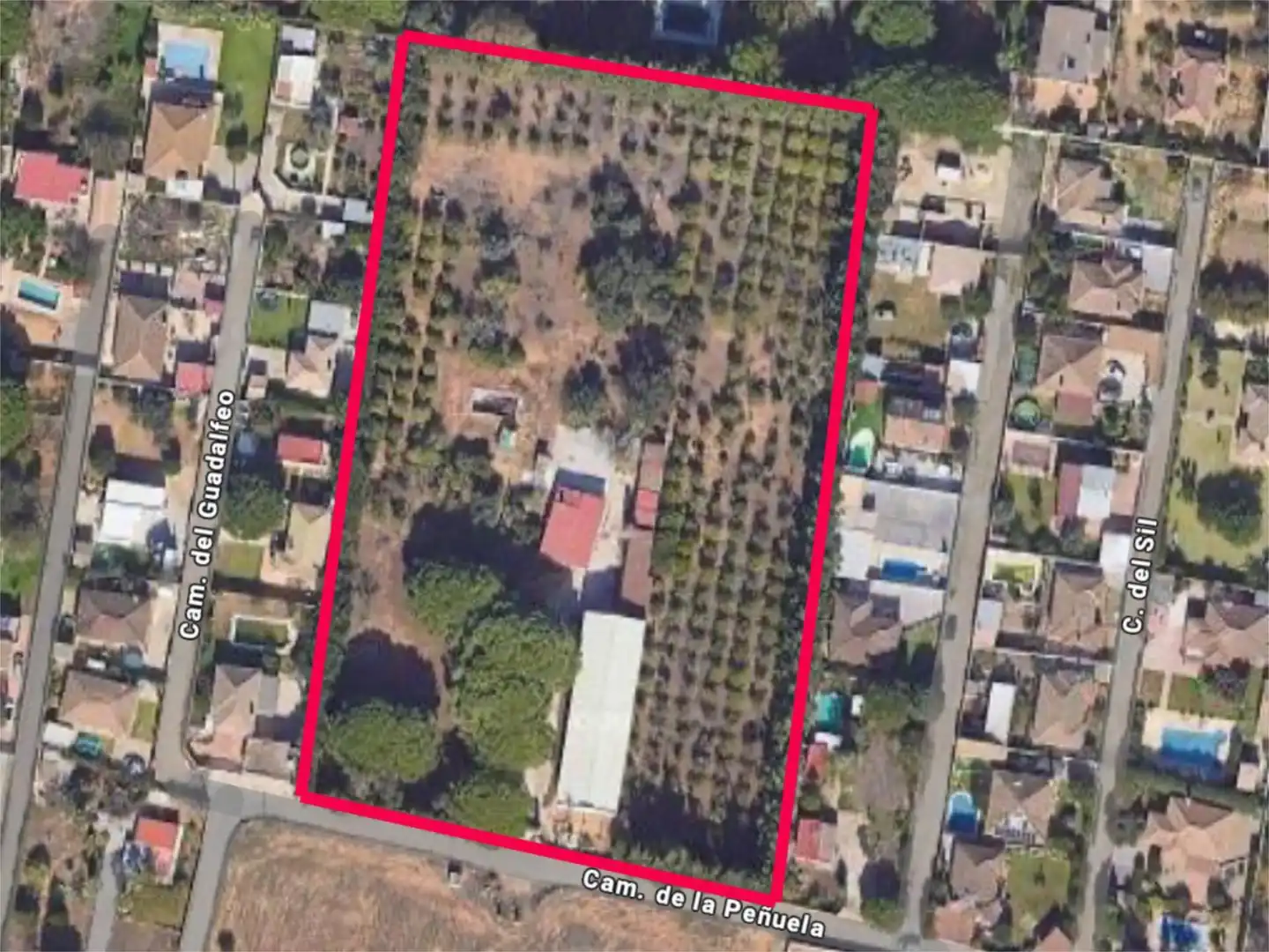 Finca rústica en venda a Camino del Manzanares, 53, Los Franceses – La Vega Finca rústica en venda en Chiclana de la Frontera amb Jardí privat i Traster