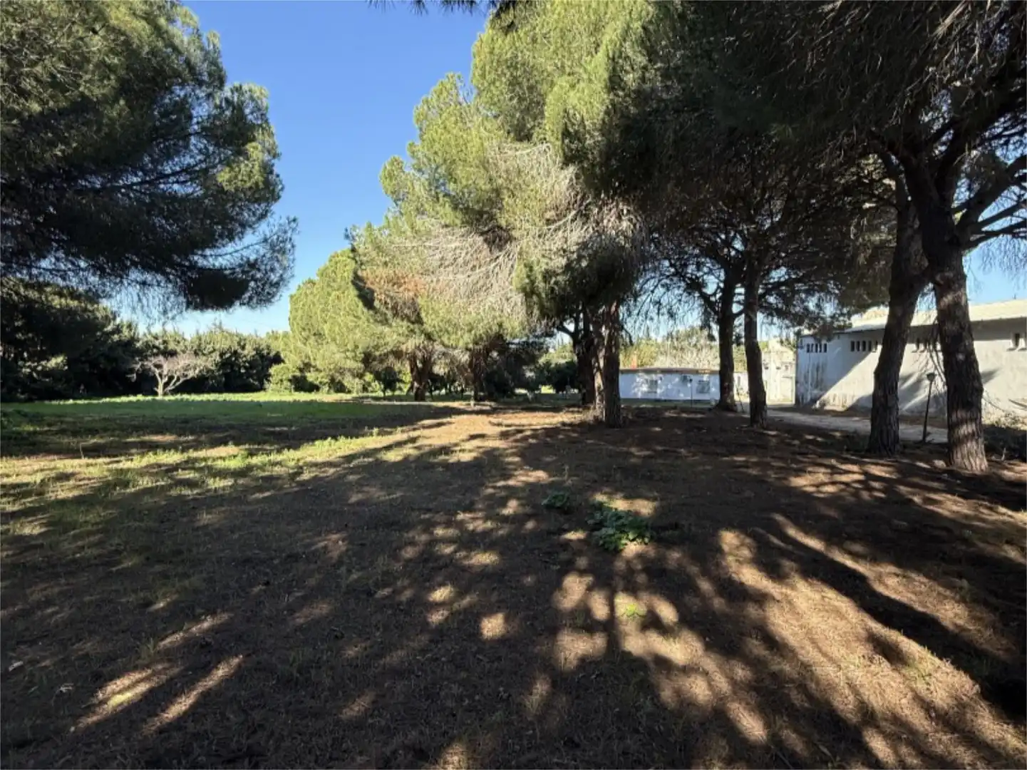 Finca rústica en venda en Chiclana de la Frontera amb Jardí privat i Traster