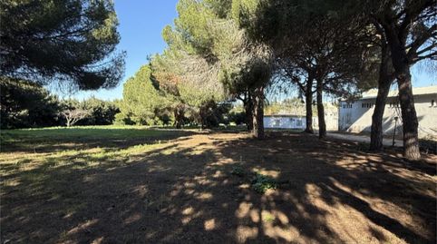 Finca rústica en venda a Camino del Manzanares, 53, Los Franceses – La Vega, Chiclana de la Frontera - imatge 4 Foto 4 de Finca rústica en venda a Camino del Manzanares, 53, Los Franceses – La Vega, Chiclana de la Frontera