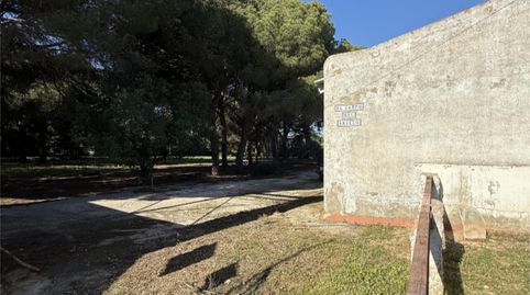 Finca rústica en venda a Camino del Manzanares, 53, Los Franceses – La Vega, Chiclana de la Frontera - imatge 5 Foto 5 de Finca rústica en venda a Camino del Manzanares, 53, Los Franceses – La Vega, Chiclana de la Frontera