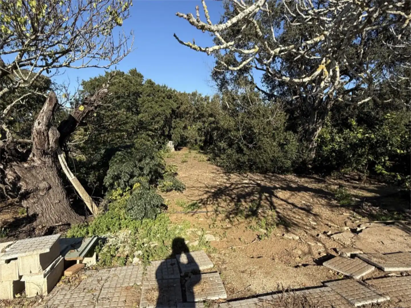 Finca rústica en venda en Chiclana de la Frontera amb Jardí privat i Traster