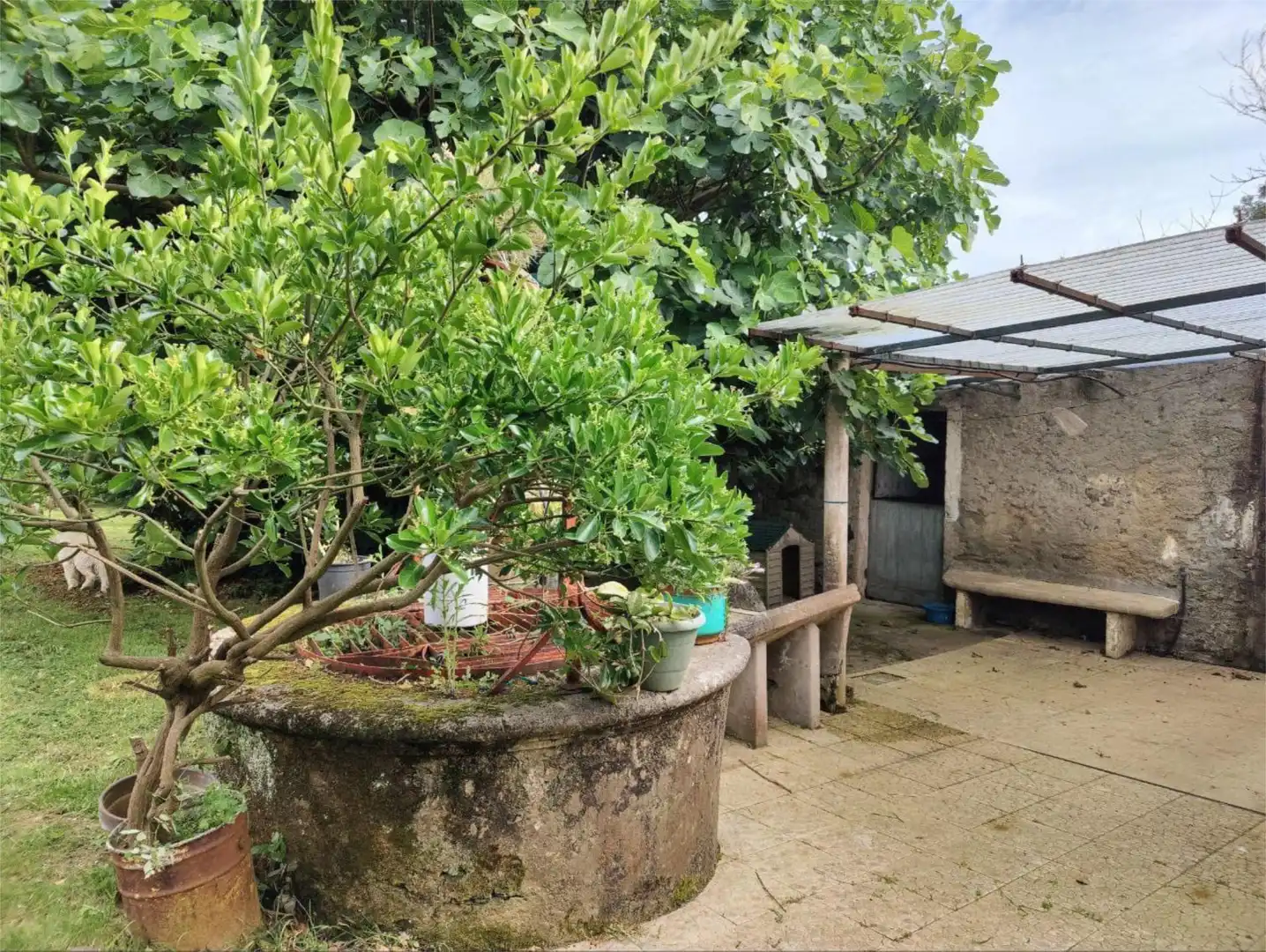 Terraza de Casa o chalet en venta en Narón con Terraza