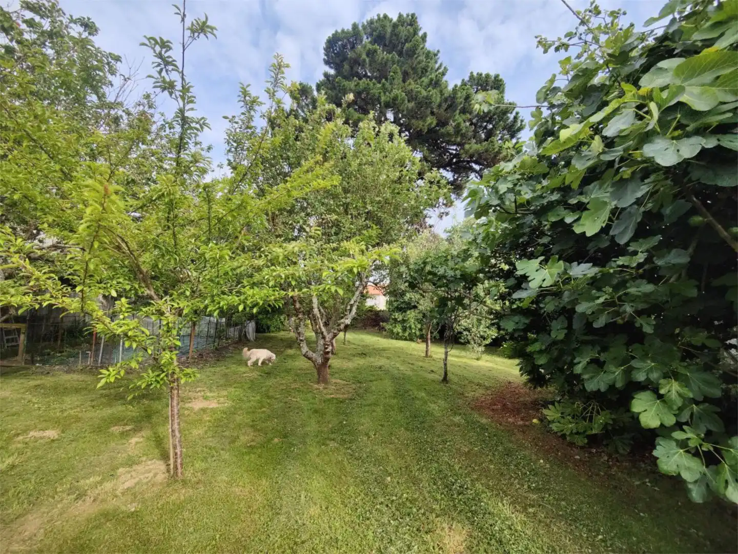 Jardín de Casa o chalet en venta en Narón con Terraza