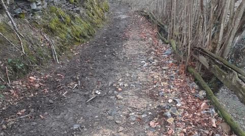 Finca rústica en venda a Caso, Asturias - imatge 3 Foto 3 de Finca rústica en venda a Caso, Asturias