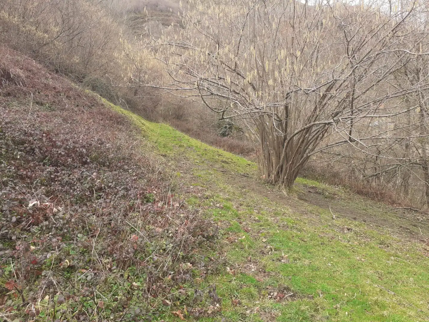 Country house zum Verkauf in Caso Country house zum Verkauf in Caso