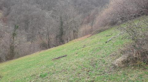Finca rústica en venda a Caso, Asturias - imatge 4 Foto 4 de Finca rústica en venda a Caso, Asturias