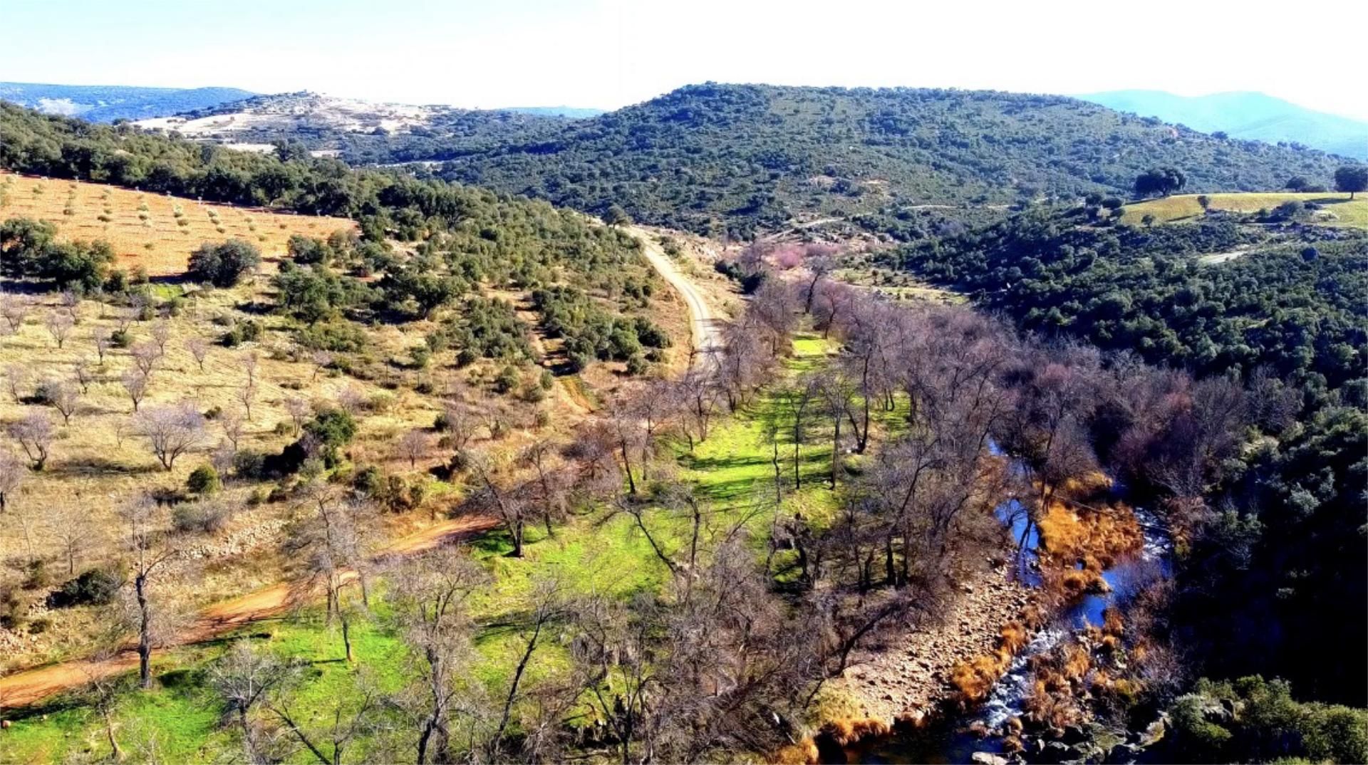 Grundstücke zum verkauf in Los Navalucillos