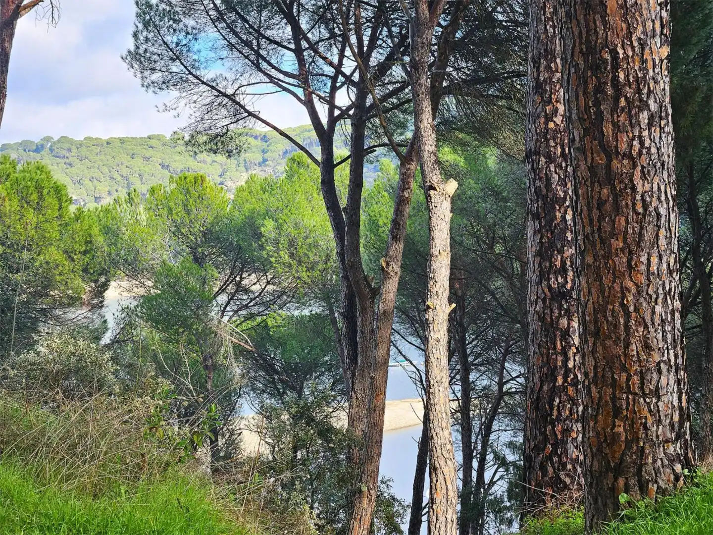 Pis en venda a Avenida de la Costa de Madrid, 251, San Martín de Valdeiglesias Pis en venda en San Martín de Valdeiglesias amb Terrassa, Traster i Moblat