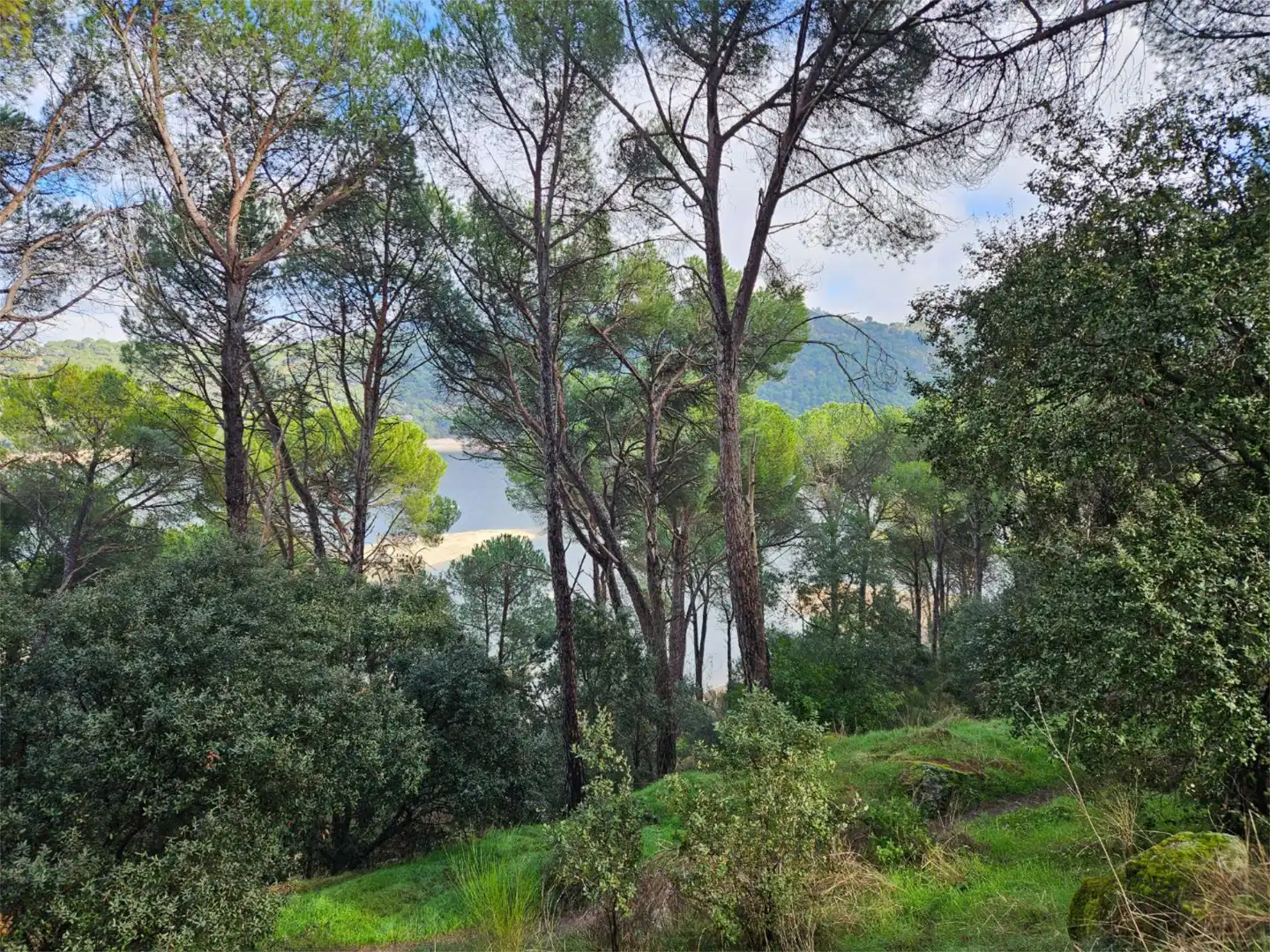 Pis en venda a Avenida de la Costa de Madrid, 251, San Martín de Valdeiglesias Pis en venda en San Martín de Valdeiglesias amb Terrassa, Traster i Moblat