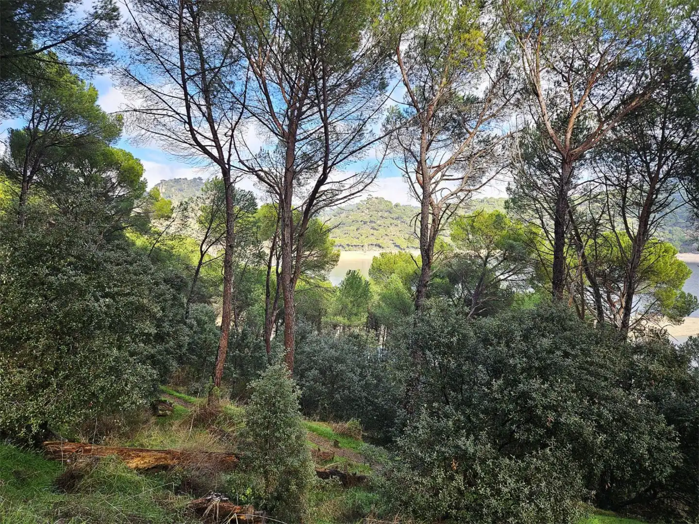 Pis en venda a Avenida de la Costa de Madrid, 251, San Martín de Valdeiglesias Jardí de Pis en venda en San Martín de Valdeiglesias amb Terrassa, Traster i Moblat