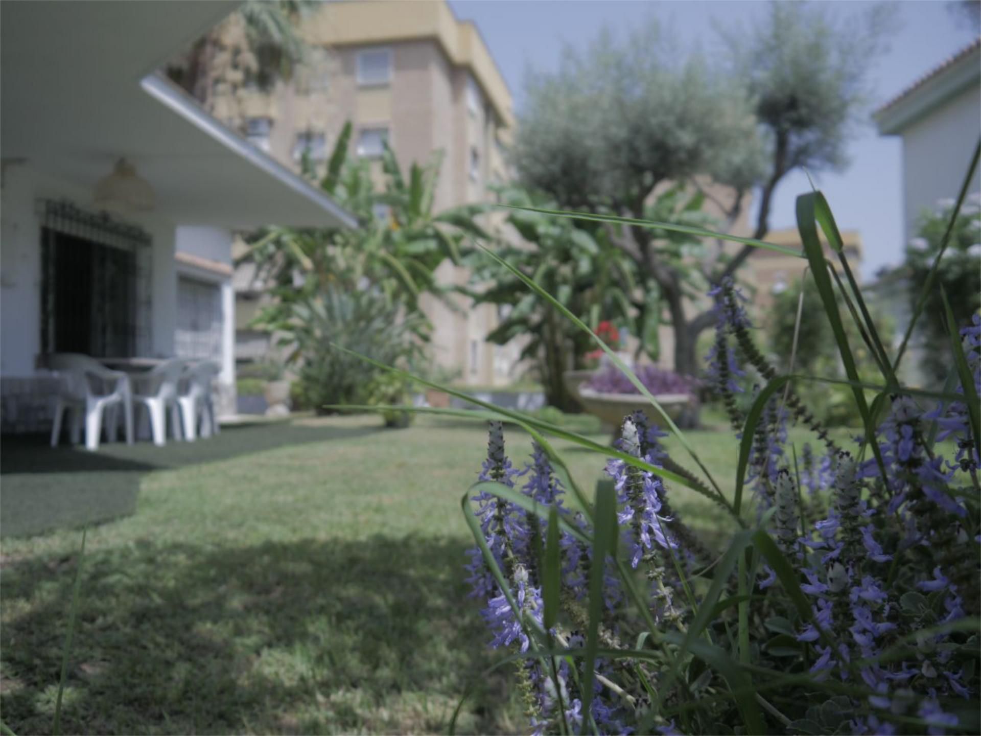Casa o xalet de lloguer a Calle Don Diego de Miranda, 6, El Palo