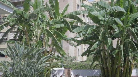 Foto 5 de Casa o xalet de lloguer a Calle Don Diego de Miranda, 6, El Palo, Málaga Capital