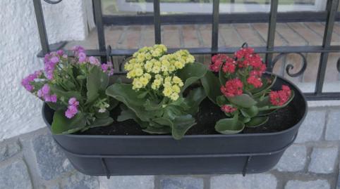 Foto 4 de Casa o xalet de lloguer a Calle Don Diego de Miranda, 6, El Palo, Málaga Capital