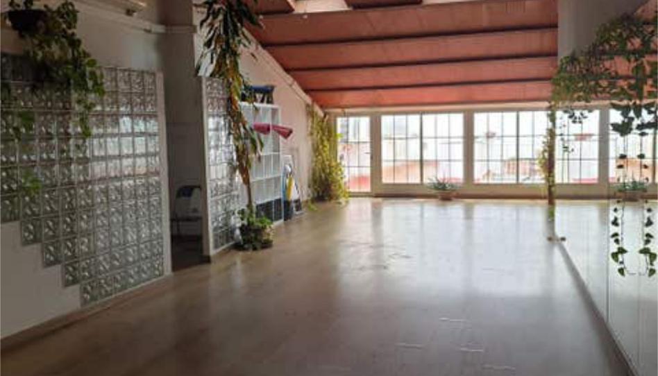 Apartament de lloguer a Centro, Huelva Capital - imatge 1 Foto 1 de Apartament de lloguer a Centro, Huelva Capital