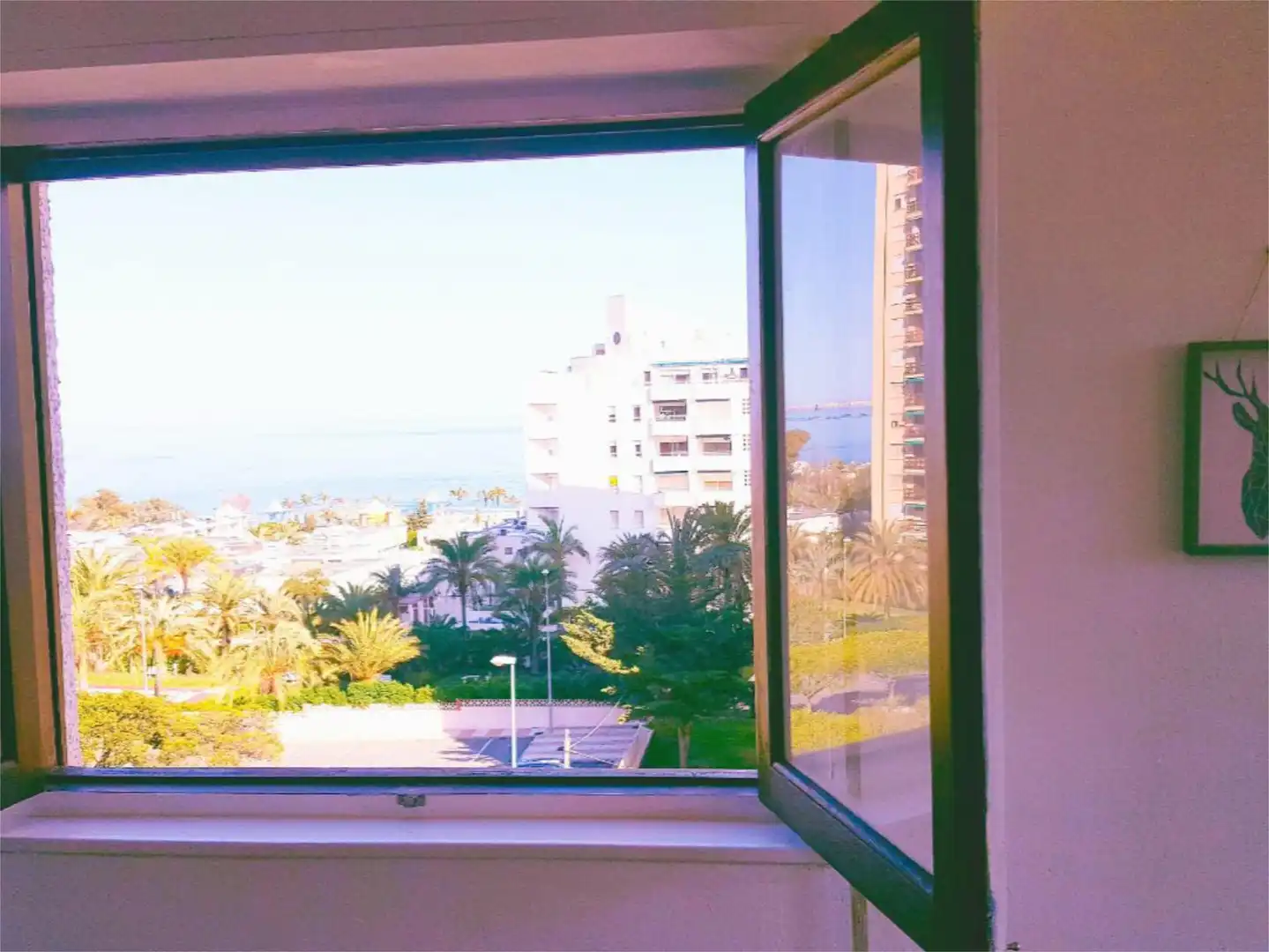 Piso de alquiler en Paseo del Palmeral, 13, Aguadulce Sur Piso de alquiler en Paseo del Palmeral, 13, Aguadulce Sur