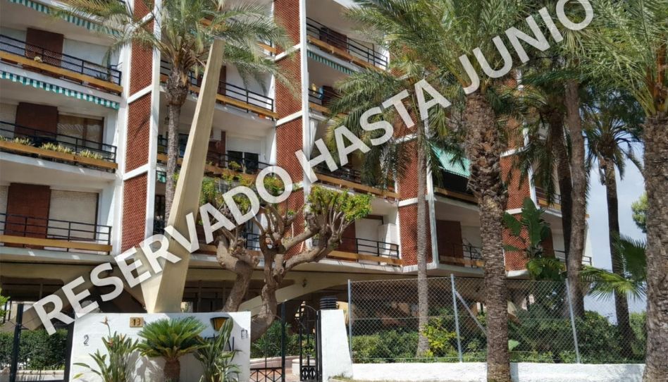 Piso de alquiler en Paseo del Palmeral, 13, Aguadulce Sur, Roquetas de Mar - imagen 1 Foto 1 de Piso de alquiler en Paseo del Palmeral, 13, Aguadulce Sur, Roquetas de Mar