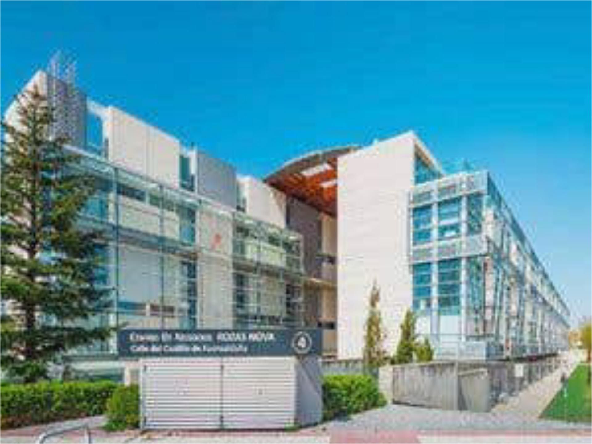 Study to rent in Europolis