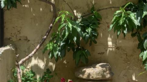 Foto 3 de Casa adosada en venda a Carrer Major, 44, Riudarenes, Girona