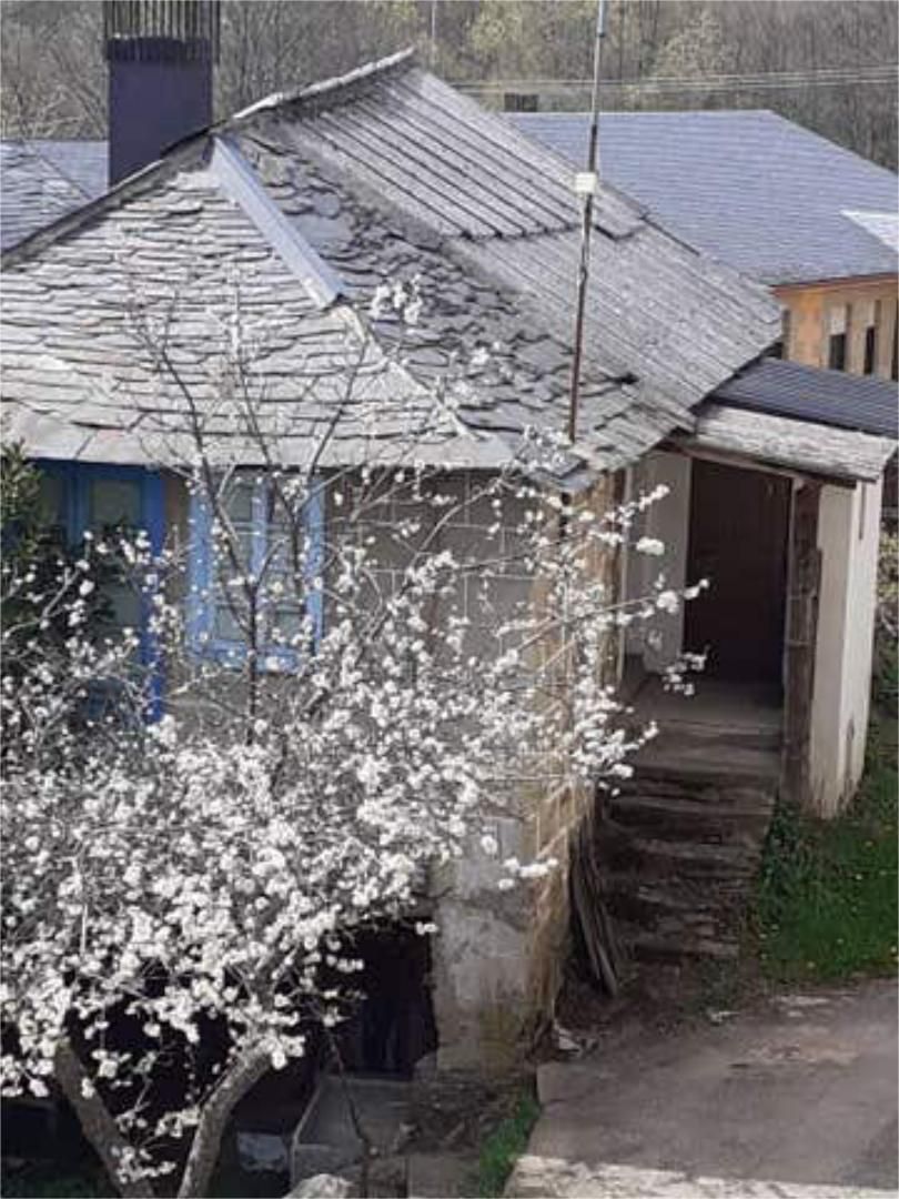 Exterior view of House or chalet for sale in Galende  with Private garden