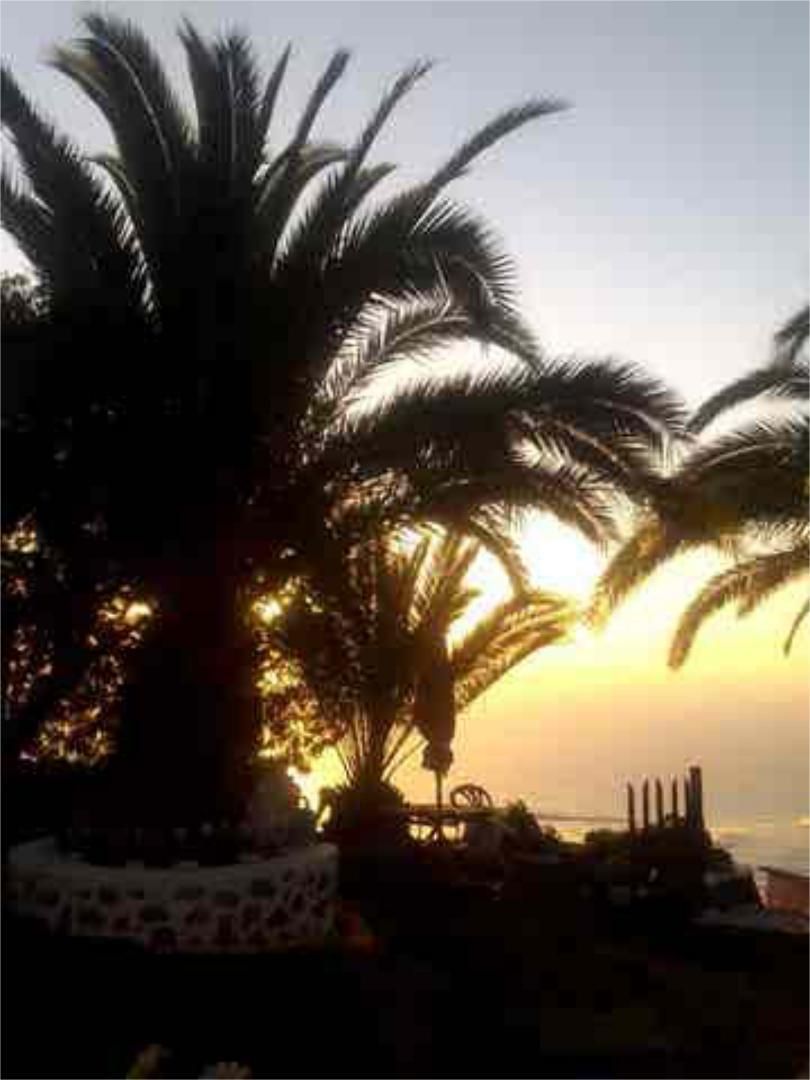 Study for share in Los Llanos de Aridane Study for share in Los Llanos de Aridane