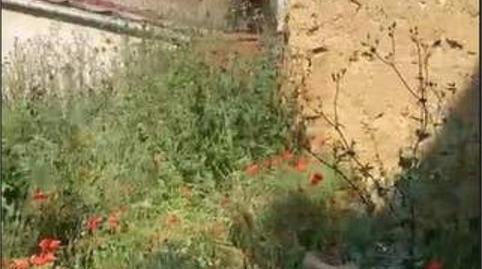 Foto 4 de Casa o xalet en venda a Cañizo, Zamora