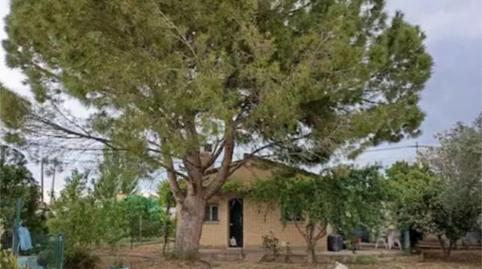 Flat for sale in Calle Almenara de San Juan -1, 1, Garrapinillos, Zaragoza Capital - image 4 Photo 4 of Flat for sale in Calle Almenara de San Juan -1, 1, Garrapinillos, Zaragoza Capital